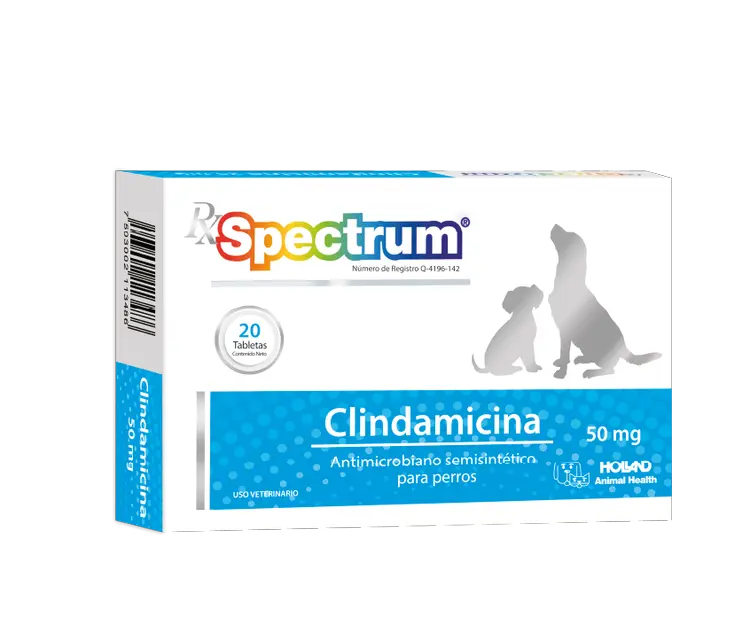 Rx Spectrum Clindamicina 50mg