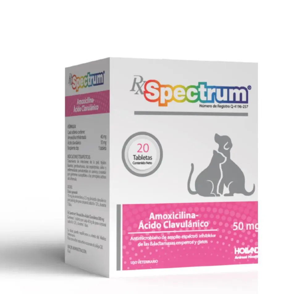 Spectrum Amoxicilina + Acido Clavulánico 50mg