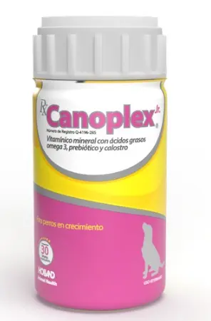 Rx Canoplex Jr