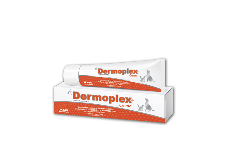 Rx Dermoplex Crema Tubo 60G