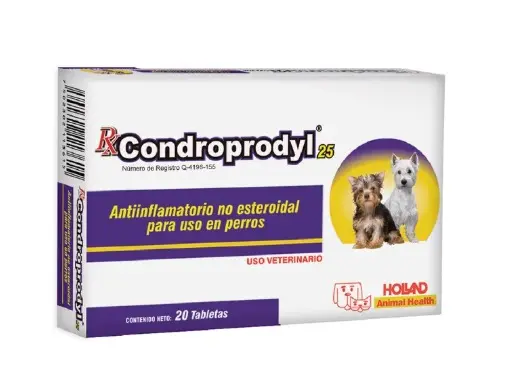 Rx Condroprodyl 25 mg
