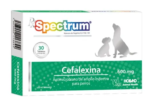 Rx Spectrum Cefalexina - 600 mg