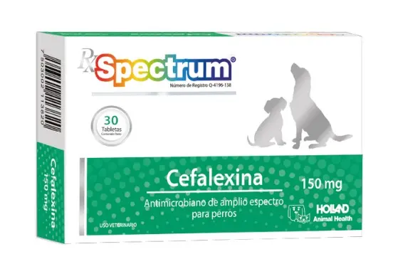 Rx Spectrum Cefalexina - 150 mg 