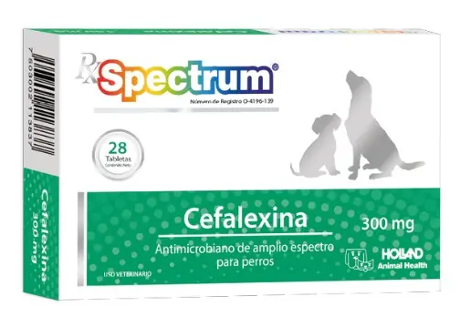 Rx Spectrum Cefalexina - 300mg   