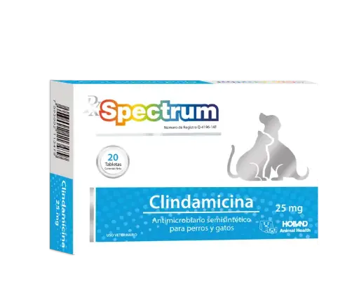 [0006HLL] Rx Spectrum Clindamicina 25mg