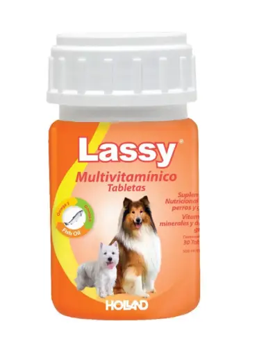 [25AF035] Lassy Multivitamínico
