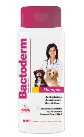 [25HD022] Bactoderm- Shampoo 
