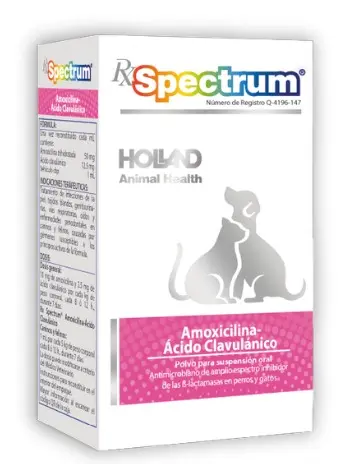 [25HF011] Rx Spectrum Amoxicilina Ácido-Clavulánico - Suspensión