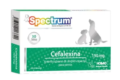 [25EF033] Rx Spectrum Cefalexina - 150 mg 
