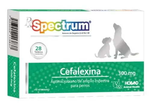 [25EF023] Rx Spectrum Cefalexina - 300mg   