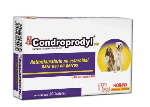 [25FF011] Rx Condroprodyl- 100 mg 