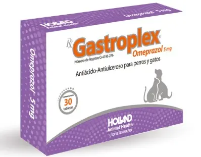 [25GF026] Rx Gastroplex 5mg